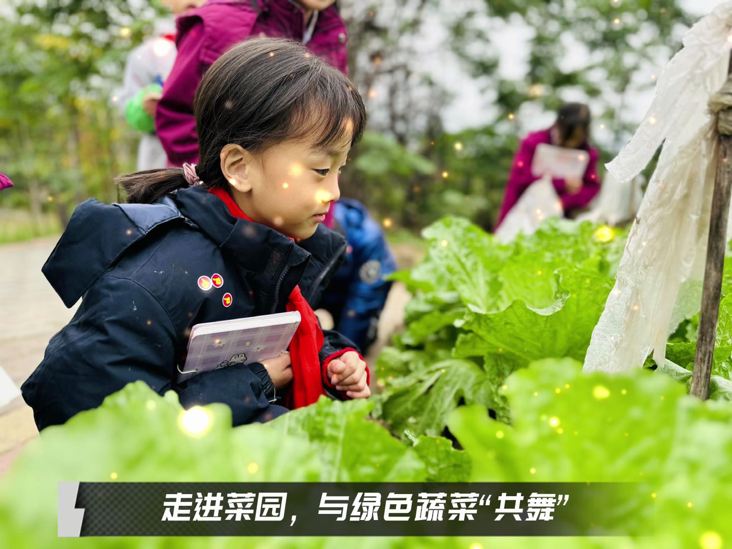 美好學校|留校時光,走出教室,與綠色蔬菜共舞 美好學校|留校時光,走出教室,與綠色蔬菜共舞