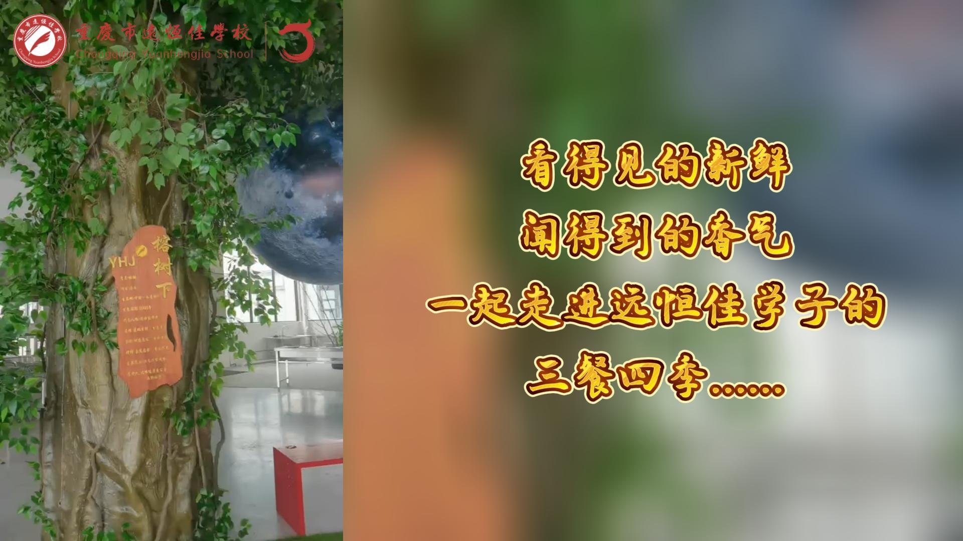 美好學校|看得見的新鮮,聞得到的香味,一起走進遠恒佳學子的三餐四季! 美好學校|看得見的新鮮,聞得到的香味,一起走進遠恒佳學子的三餐四季!