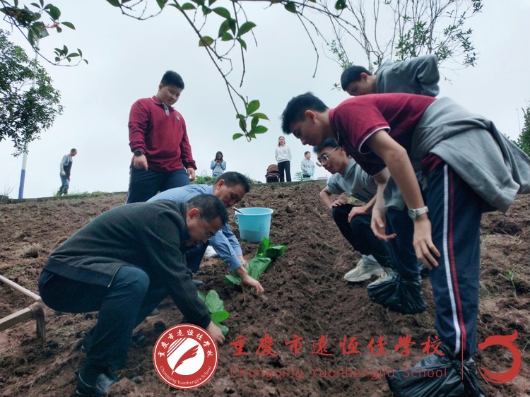 美好教育|寄情于勞動 成長于課程———高一年級健康食育課程之種植篇 美好教育|寄情于勞動 成長于課程———高一年級健康食育課程之種植篇